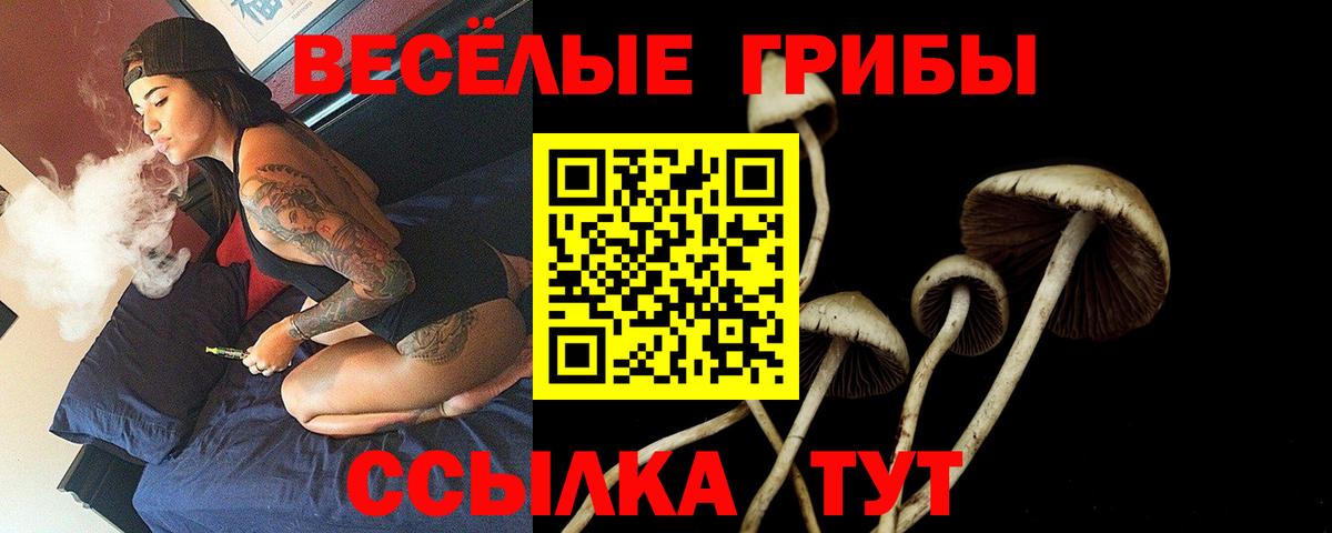 Галлюциногенные грибы прущие грибы Еманжелинск